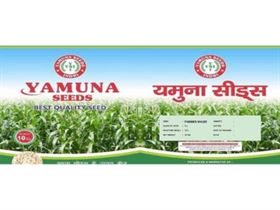 Maize Seeds Fodder Maize Seed