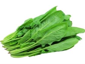 Spinach Palak 300 to 500g