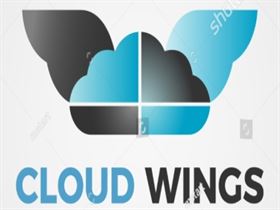 Customer care executive 