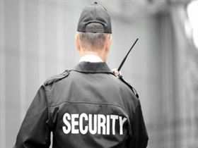 Need Security Guard
