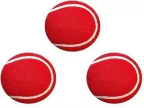 FITBOT Red Cricket Tennis Ball