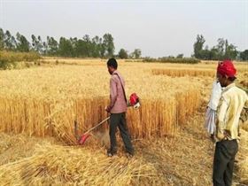 crop cutting machines