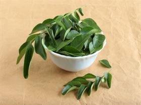 Curry Leaves Kariapaat 250g Pack of 2 bunches