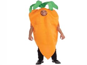 Carrot Costume For sale 
