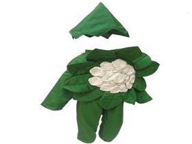 Cauliflower Costume For Sale 