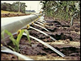 irrigation water pipes