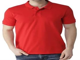 Cotton Plain Mens T Shirt with Collar and Pocket