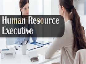  HR executive is a key member of the HR department
