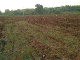 Agriculture land sale