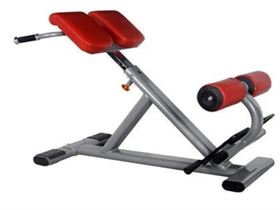 Gray And Red Hyperextension Bench For Gym
