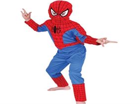 Spiderman Costume 
