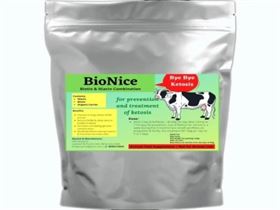 BioNice Biotin Niacin Combination