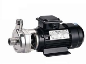 Btali 40SLF 16D Heavy Duty Stainless Steel Water Pump