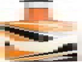 PUMA Future EW Willow Cricket Bat